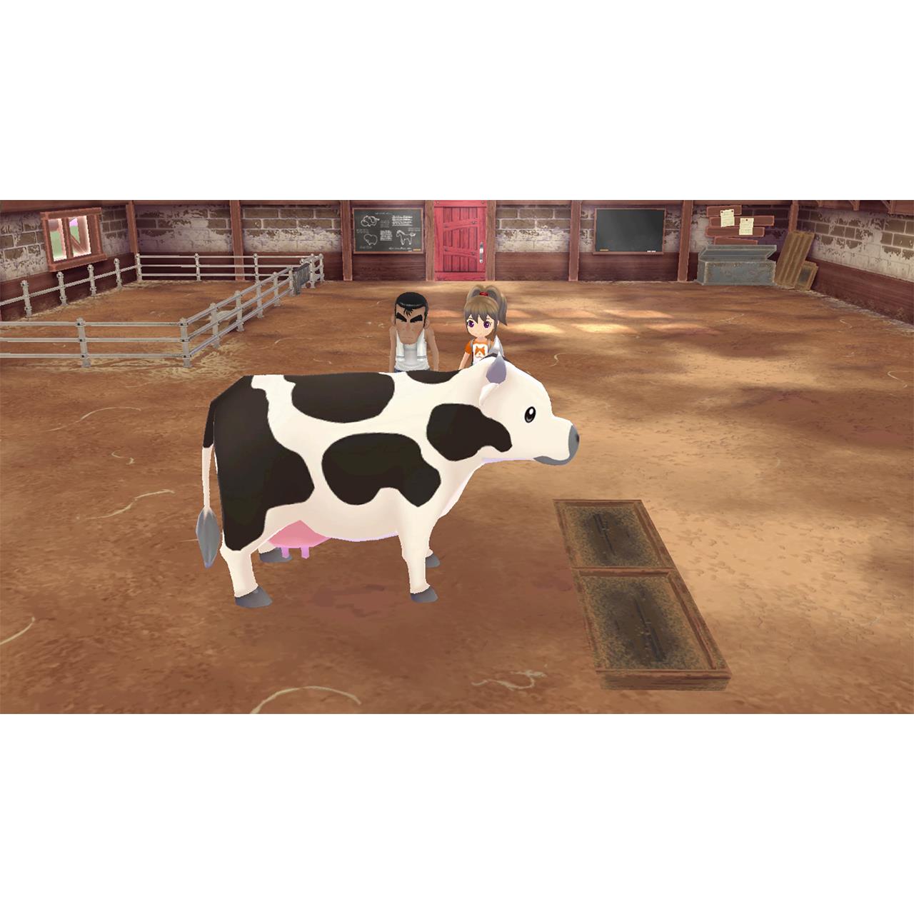 STORY OF SEASONS: A Wonderful Life