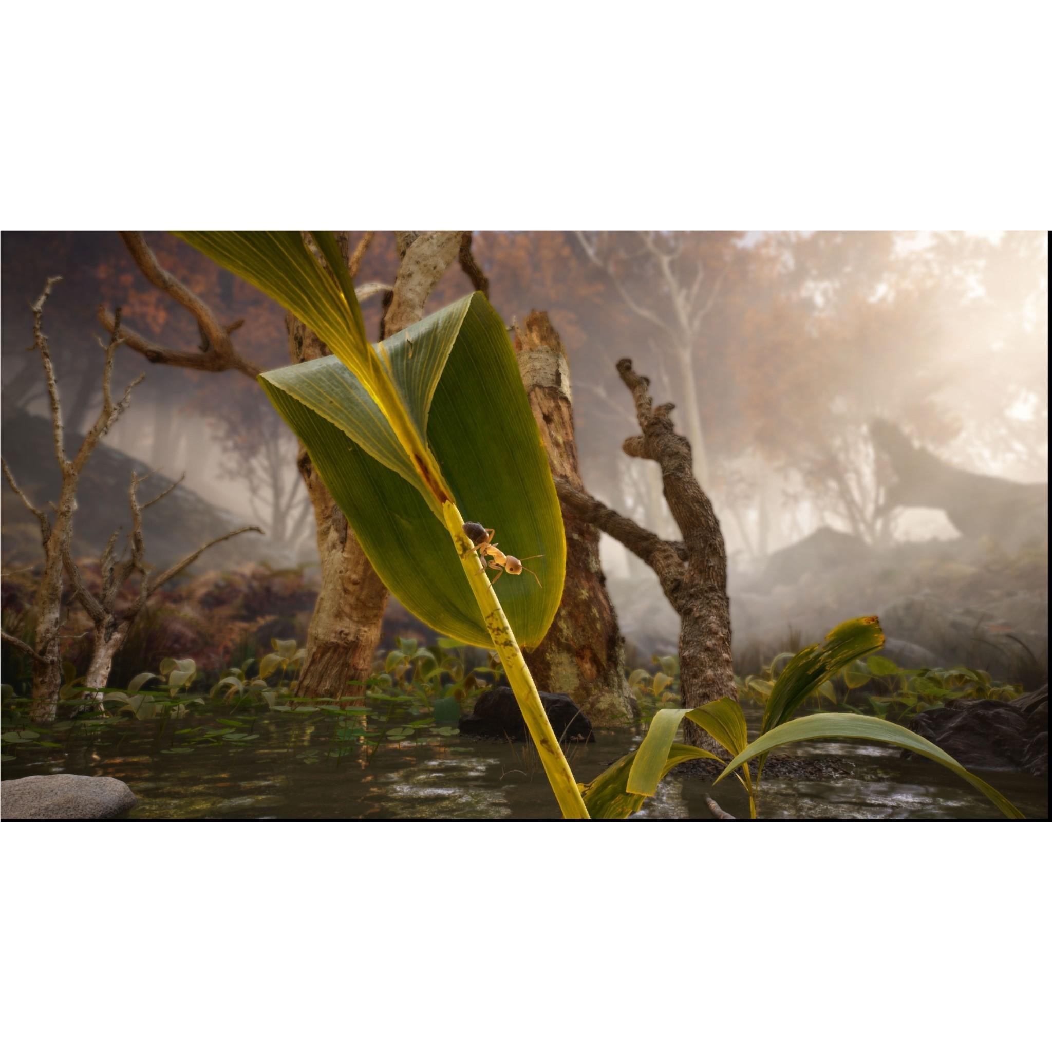 Empire of the Ants Limited Edition